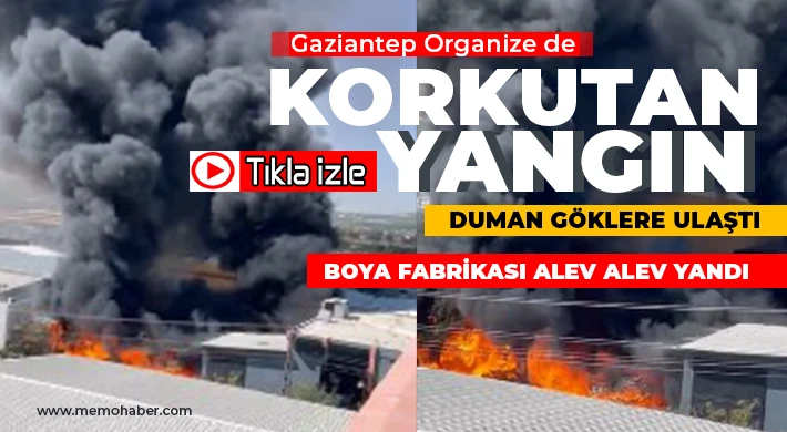 Boya fabrikasında yangın! Duman göklere ulaştı