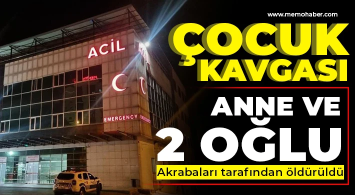 Çocuk kavgasında anne ve 2 oğlu hayatını kaybetti