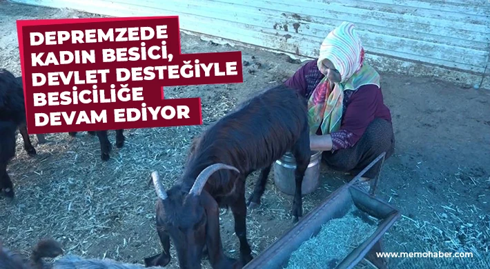 Depremzede kadın besici, devlet desteğiyle besiciliğe devam ediyor