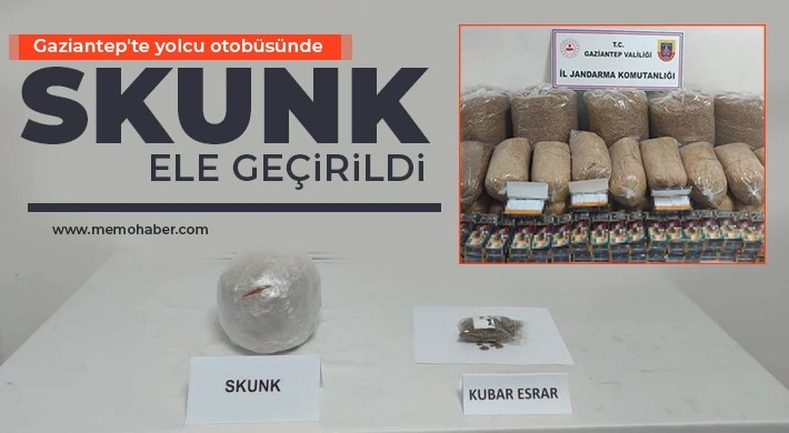 Gaziantep'te yolcu otobüsünde skunk ele geçirildi