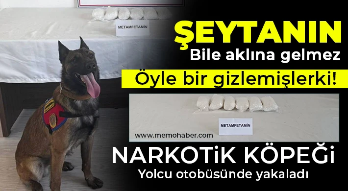 Narkotik köpeği yolcu otobüsünde yakaladı