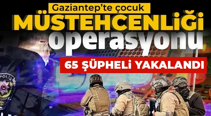 Sibergöz-48 operasyonu: 65 şüpheli yakalandı