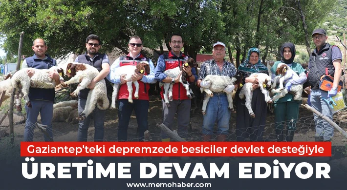Yeni doğumlarla hayvan sayısı arttı