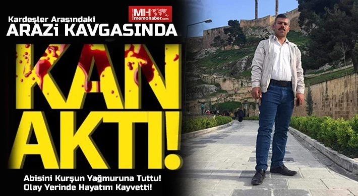 Arazi kavgasında ağabey katili oldu