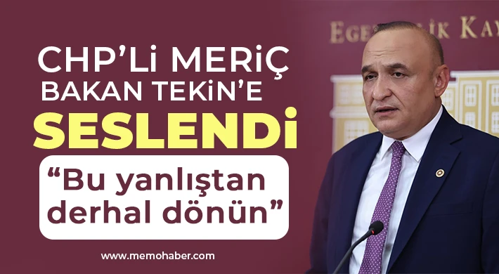 CHP’li Meriç Bakan Tekin’e Seslendi