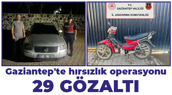 Gaziantep'te hırsızlık operasyonu: 29 gözaltı