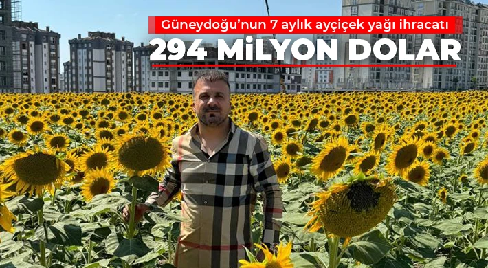 Güneydoğu’nun 7 aylık ayçiçek yağı ihracatı 294 milyon dolar