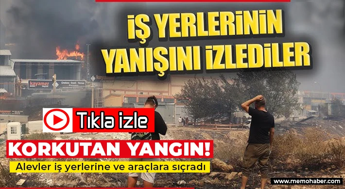 İzmir’de alevler iş yerlerine ve araçlara sıçradı