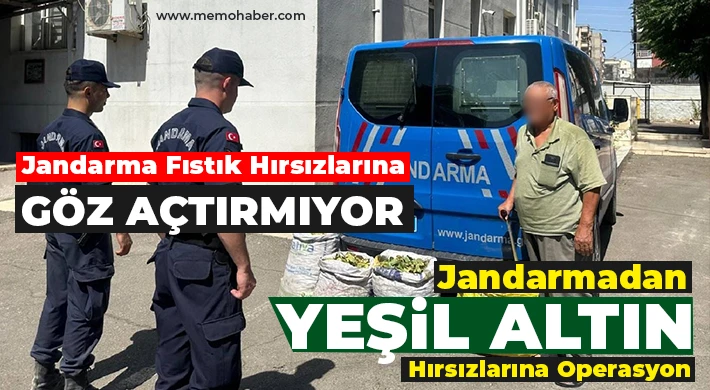 Jandarmadan Yeşil Altın Hırsızlarına Operasyon