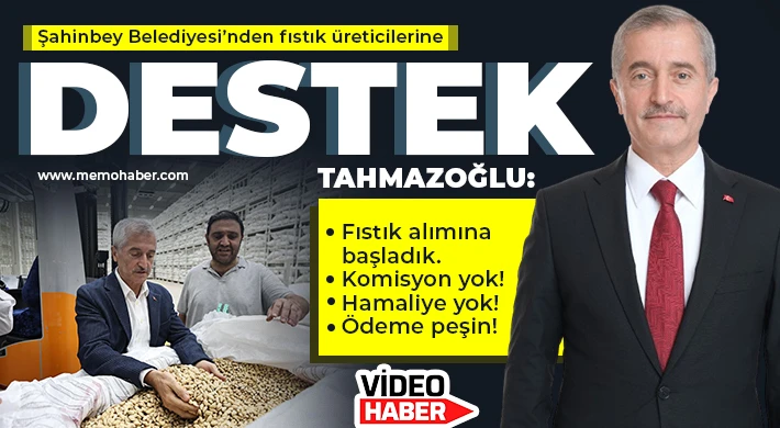 Şahinbey Belediyesi fıstık alımına başladı