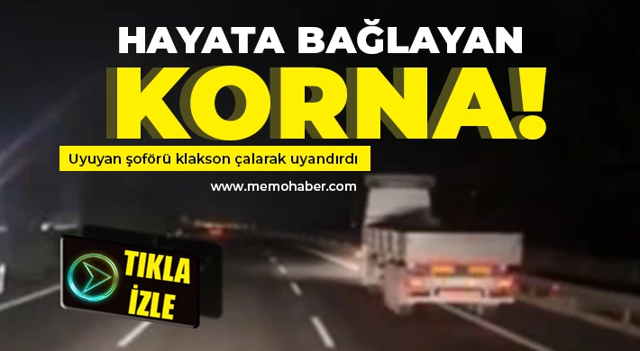 Uyuyan şoförü klakson çalarak uyandırdı