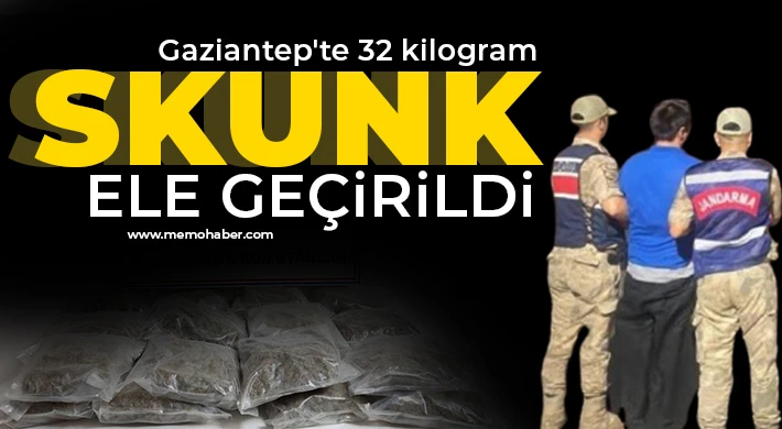 Gaziantep'te 32 kilogram skunk ele geçirildi