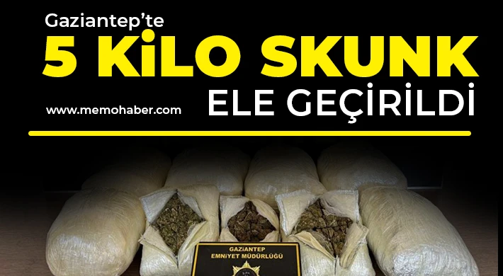 Gaziantep’te 5 kilo skunk ele geçirildi