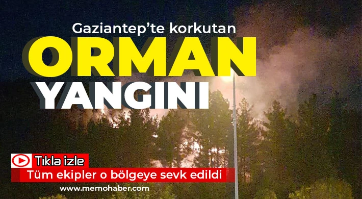 Gaziantep’te korkutan orman yangını!