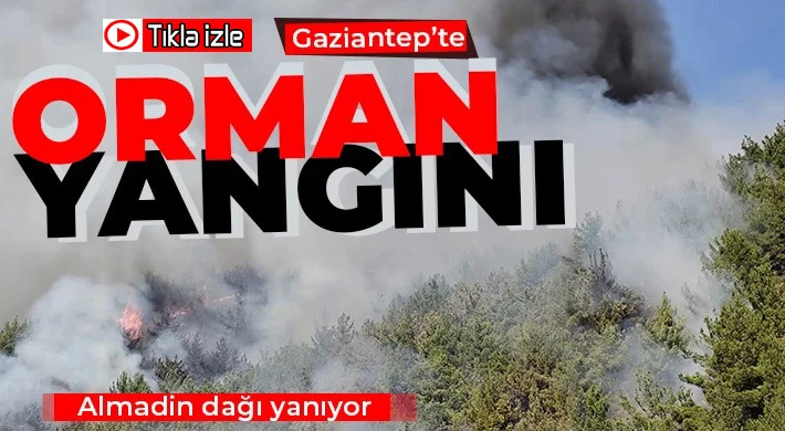 Gaziantep’te orman yangını