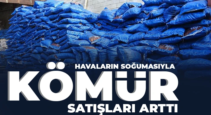 Havaların soğumasıyla kömür satışları arttı