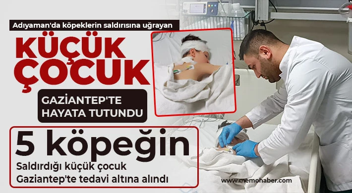 5 köpeğin saldırdığı küçük çocuk Gaziantep'te tedavi altına alındı