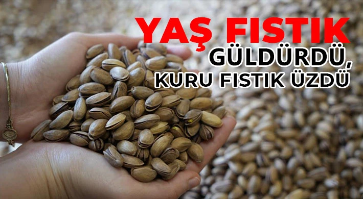 Yaş fıstık güldürdü, kuru fıstık üzdü