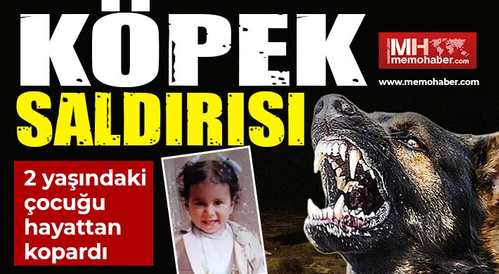 2 yaşındaki çocuk köpeklerin saldırısı sonucu hayatını kaybetti