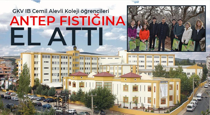 GKV IB Cemil Alevli Koleji öğrencileri Antep fıstığına el attı