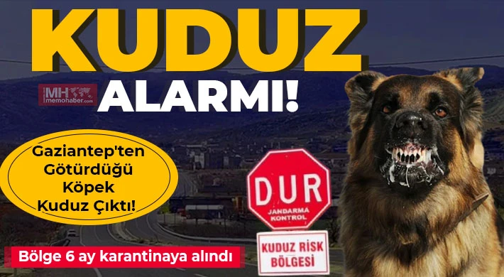 Sahipli köpek kuduz çıktı! Bölge 6 ay karantinaya alındı