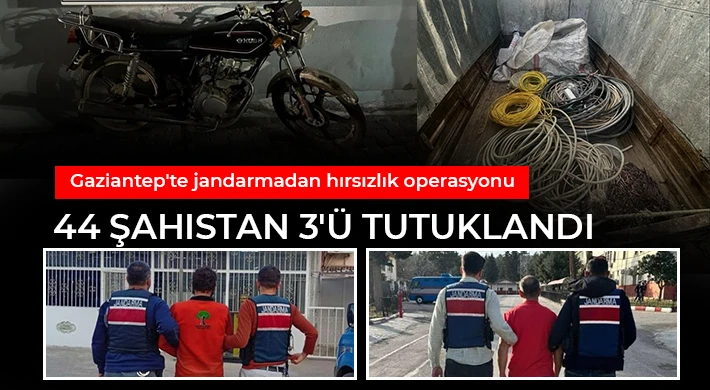 Gaziantep'te jandarmadan hırsızlık operasyonu: 44 şahıstan 3'ü tutuklandı