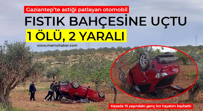 Gaziantep'te lastiği patlayan otomobil fıstık bahçesine uçtu: 1 ölü, 2 yaralı