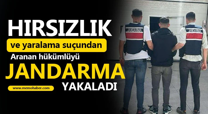 Hırsızlık ve yaralama suçundan aranan hükümlüyü jandarma yakaladı