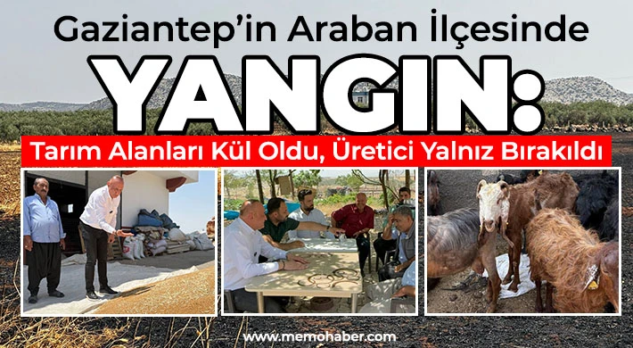 CHP'li Meriç: Yangında sadece toprak değil, emek yandı