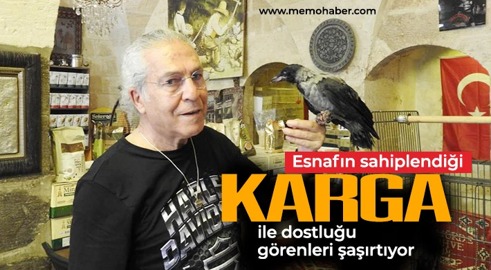 Esnafın sahiplendiği karga ile dostluğu görenleri şaşırtıyor