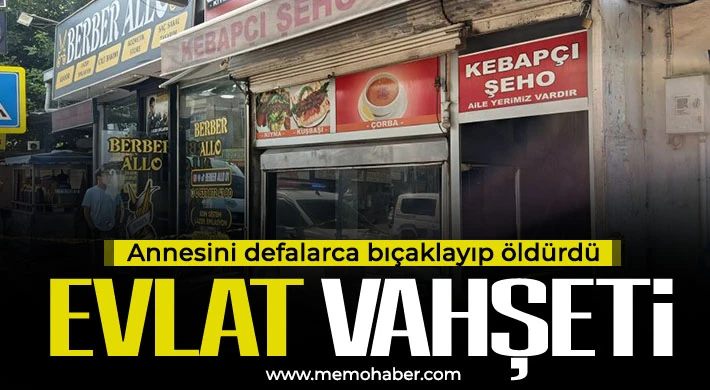 Evlat vahşeti: Annesini defalarca bıçaklayıp öldürdü
