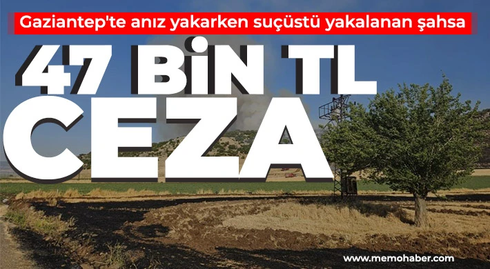 Gaziantep'te anız yakarken suçüstü yakalanan şahsa 47 bin TL ceza