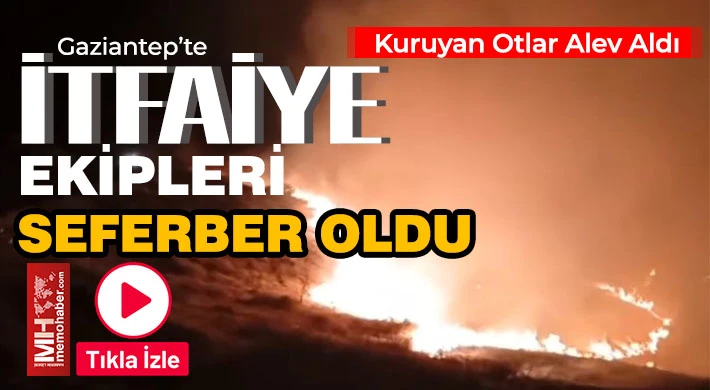Gaziantep'te Korkutan Yangın! Kuruyan otlar alev aldı