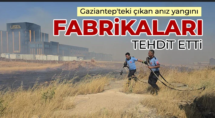 Gaziantep'teki çıkan anız yangını fabrikaları tehdit etti