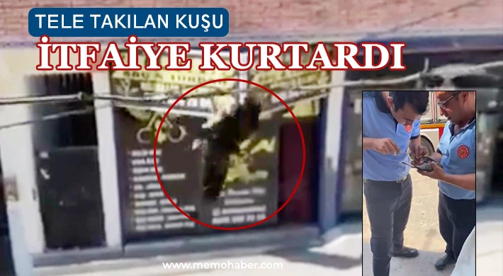 Tele takılan kuşu itfaiye kurtardı