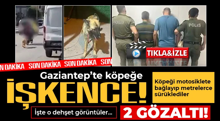 Gaziantep'te köpeğe işkence! 2 gözaltı