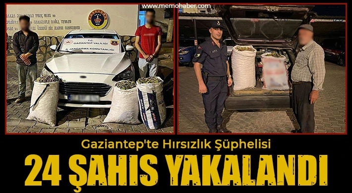 Gaziantep'te hırsızlık şüphelisi 24 şahıs yakalandı