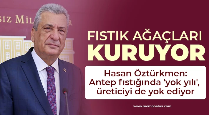 Hasan Öztürkmen: Fıstık ağaçları kuruyor