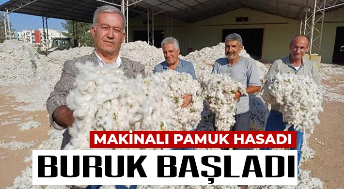 Araban Ovası’nda makinalı pamuk hasadı buruk başladı