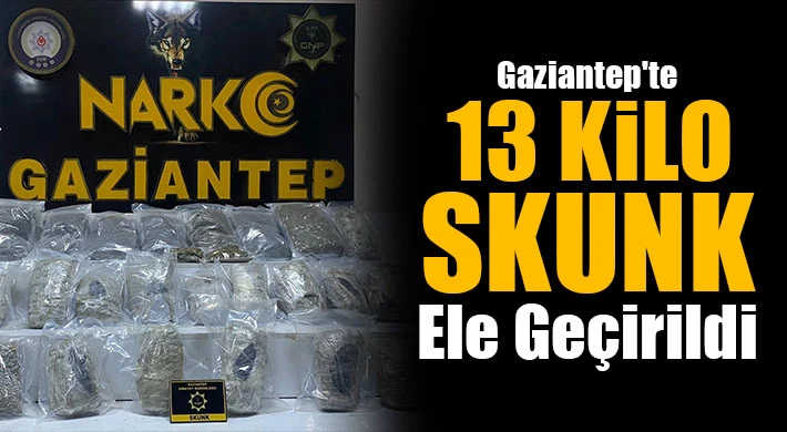 Gaziantep'te 13 kilo skunk ele geçirildi