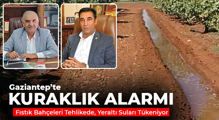 Gaziantep’te Kuraklık Alarmı: Fıstık Bahçeleri Tehlikede, Yeraltı Suları Tükeniyor