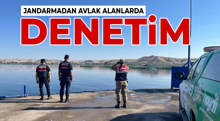 Jandarmadan avlak alanlarda denetim