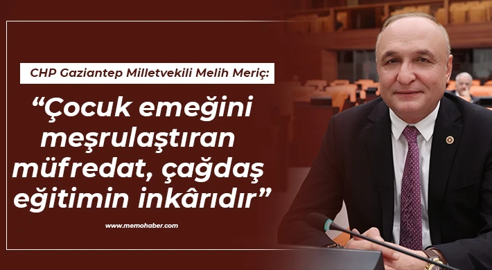 Meriç: Çocuk emeğini meşrulaştıran müfredat, çağdaş eğitimin inkârıdır