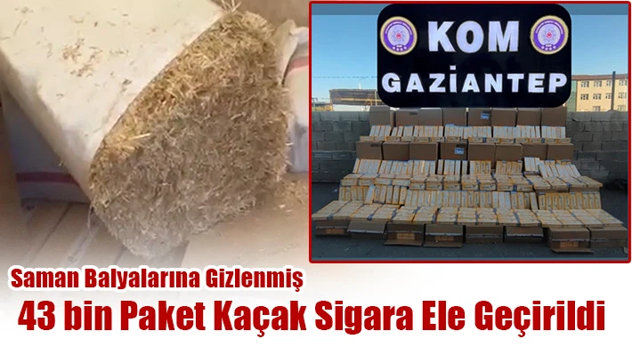 Saman balyalarına gizlenmiş 43 bin paket kaçak sigara ele geçirildi