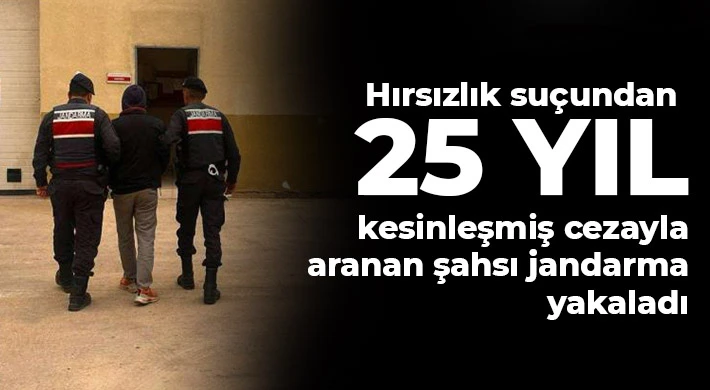 Hırsızlık suçundan 25 yıl kesinleşmiş cezayla aranan şahsı jandarma yakaladı