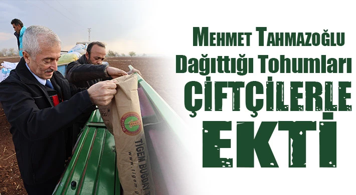 Tahmazoğlu dağıttığı tohumları çiftçilerle ekti