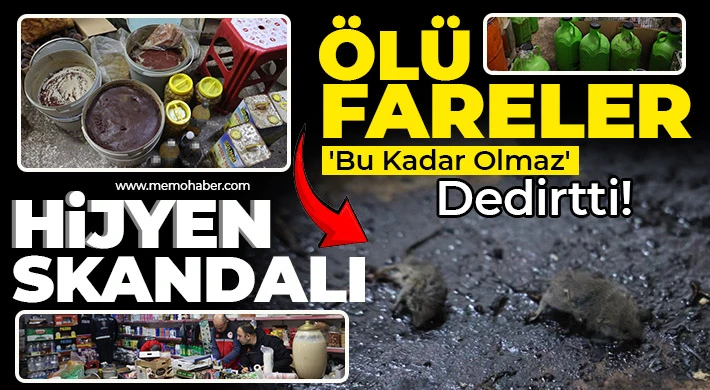 Kilis'te Hijyen Skandalı! Ölü fareler 'bu kadar olmaz' dedirtti
