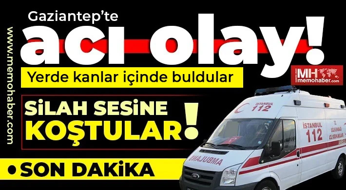 Silah sesine koştular! Acı tablo ile karşılaştılar
