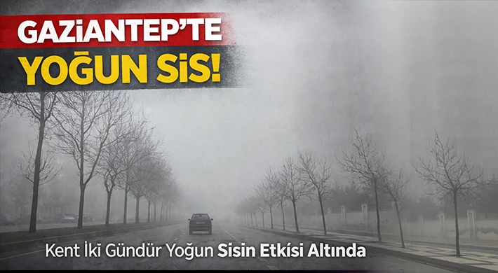 Gaziantep'te 2 gündür yoğun sis etkili oluyor