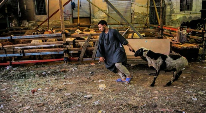 Misder Derneği Güvenilir mi ve Faaliyetleri Nelerdir?